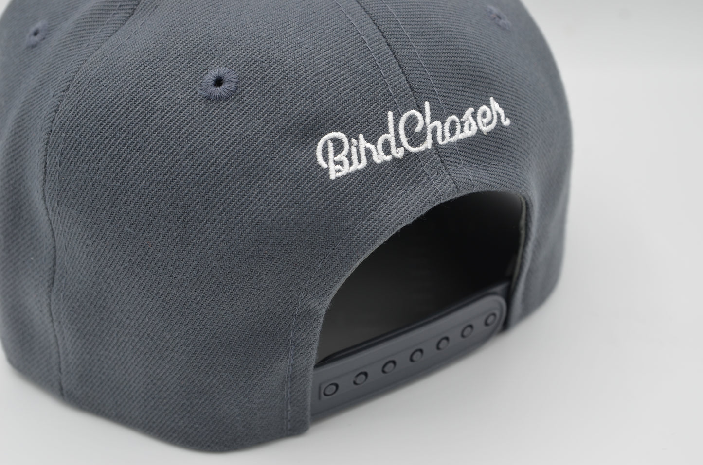 Smoke Gray BirdChaser SnapBack