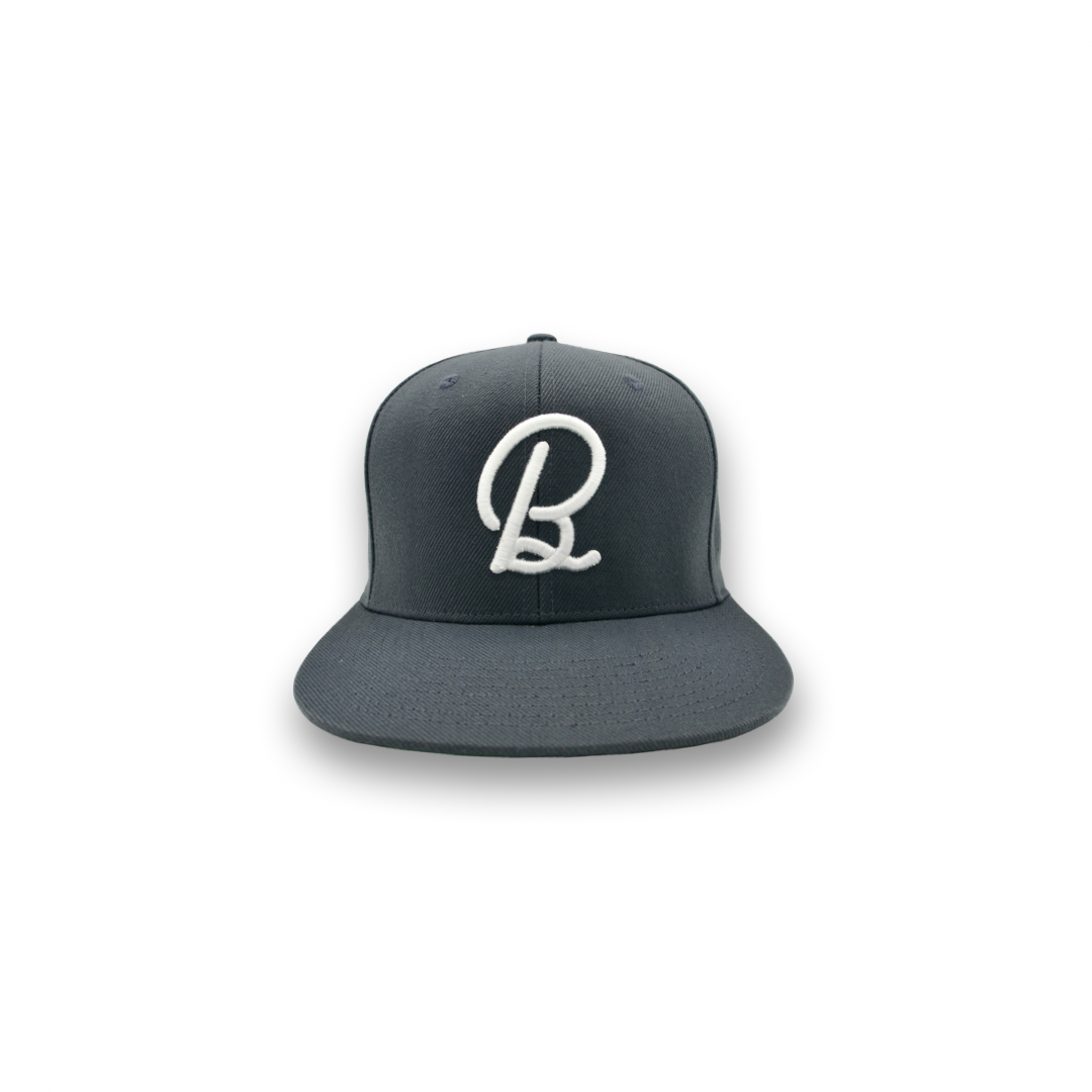 Smoke Gray BirdChaser SnapBack