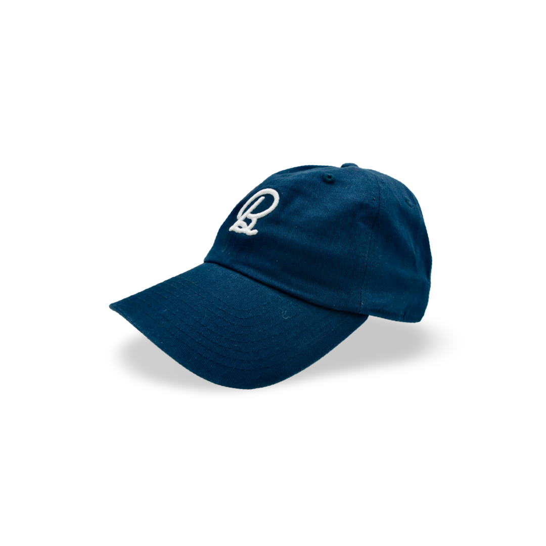 Navy BirdChaser Dad Cap