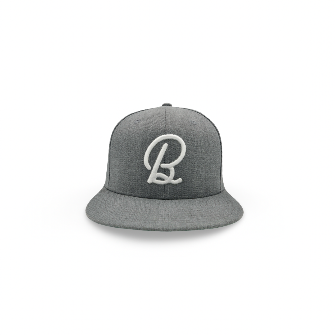 Light Gray BirdChaser SnapBack
