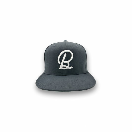 Smoke Gray BirdChaser SnapBack