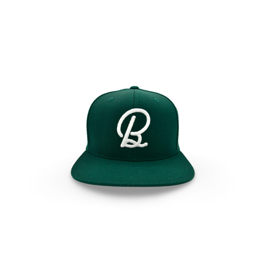 Fairway Green BirdChaser SnapBack