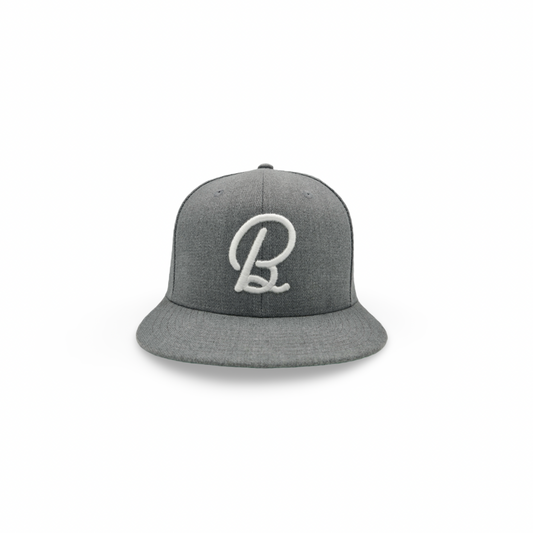Light Gray BirdChaser SnapBack