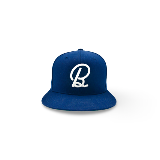 Navy BirdChaser SnapBack